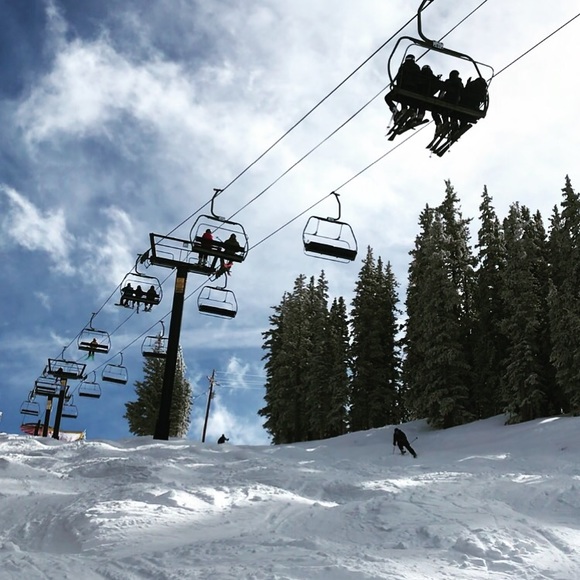 Meet your Posher, Holly - Picture 1 of 1